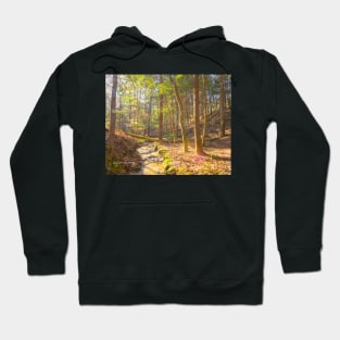 Follow that Creek Hoodie